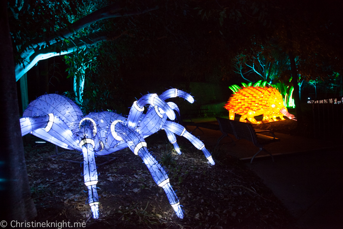 Vivid Sydney at Taronga Zoo