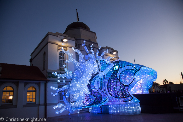 Vivid Sydney at Taronga Zoo