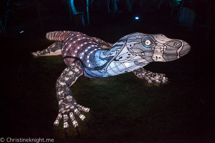 Vivid Sydney at Taronga Zoo