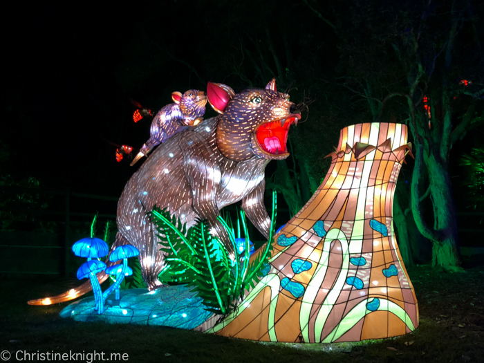 Vivid Sydney at Taronga Zoo