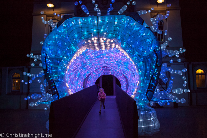 Vivid Sydney at Taronga Zoo