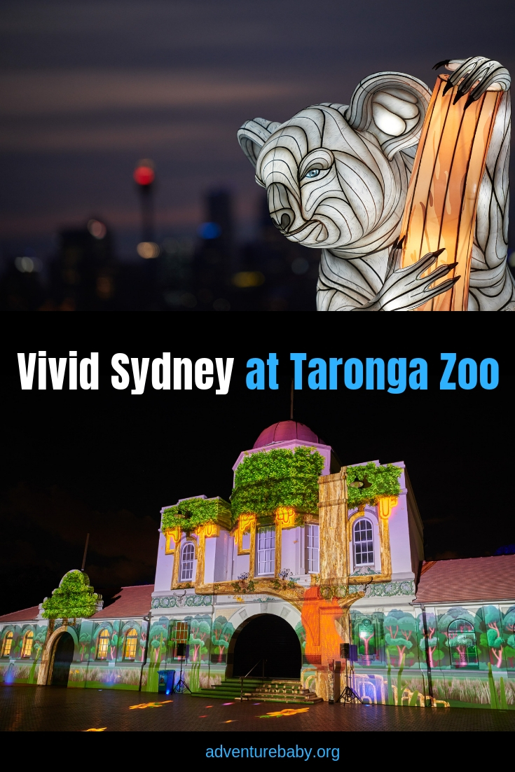 Vivid Sydney at Taronga Zoo