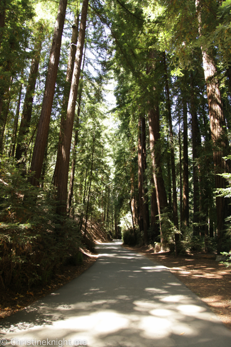 Big Sur, California