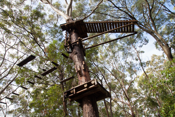 Currumbin Wildlife Sanctuary, QLD, Australia