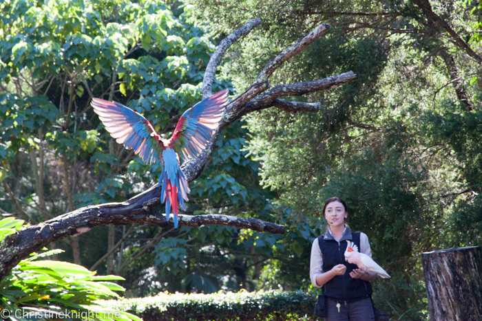 Currumbin Wildlife Sanctuary, QLD, Australia