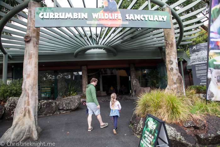 13 Must-Do Experiences at Currumbin Wildlife Sanctuary, Qld, Australia ...