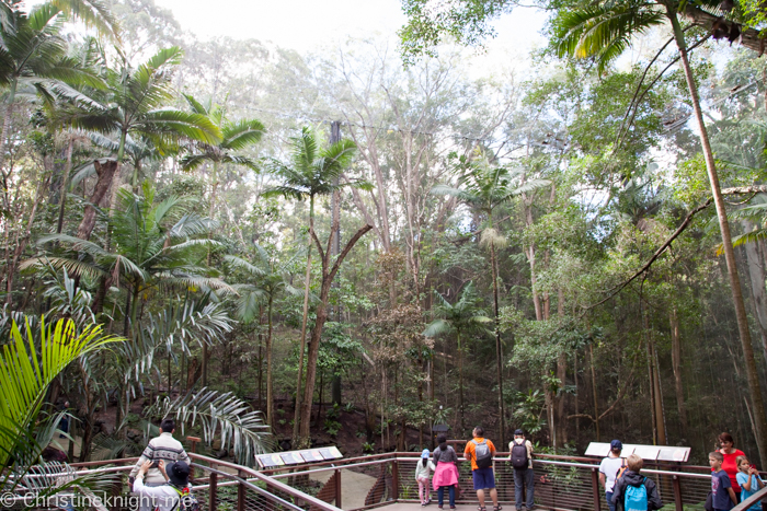 Currumbin Wildlife Sanctuary, QLD, Australia