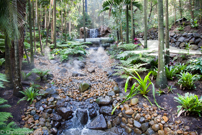 Currumbin Wildlife Sanctuary, QLD, Australia