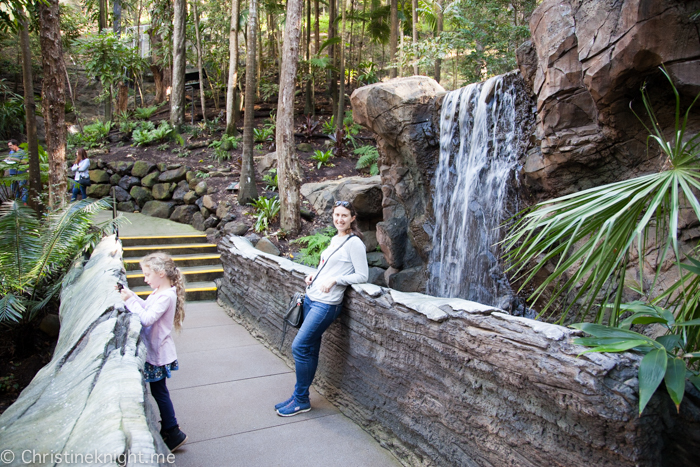 Currumbin Wildlife Sanctuary, QLD, Australia