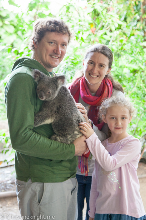 Currumbin Wildlife Sanctuary, QLD, Australia