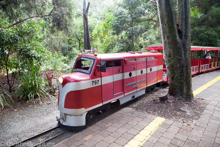 Currumbin Wildlife Sanctuary, QLD, Australia