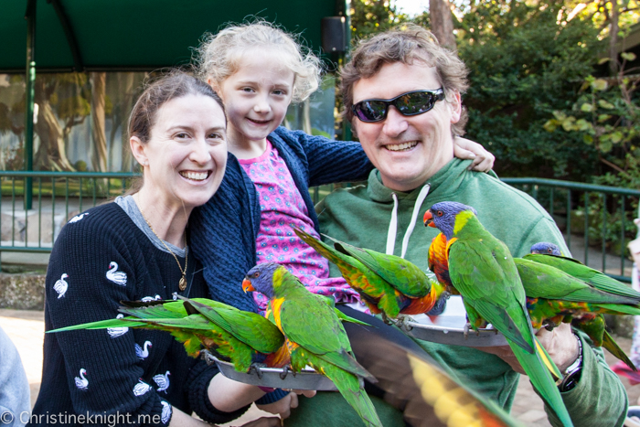 Currumbin Wildlife Sanctuary, Queensland, Australia