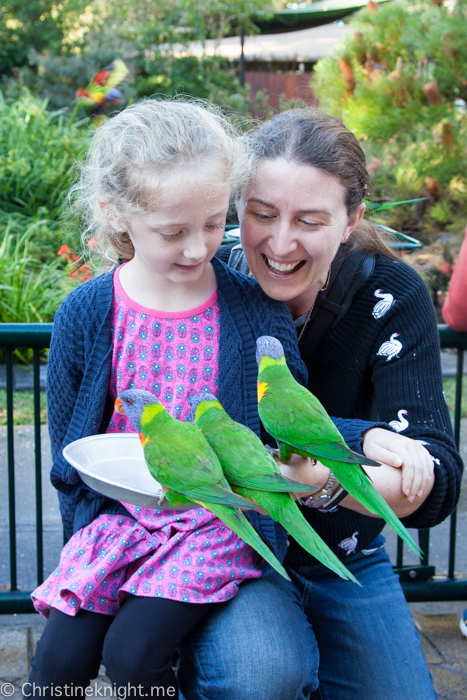 Currumbin Wildlife Sanctuary, Queensland, Australia