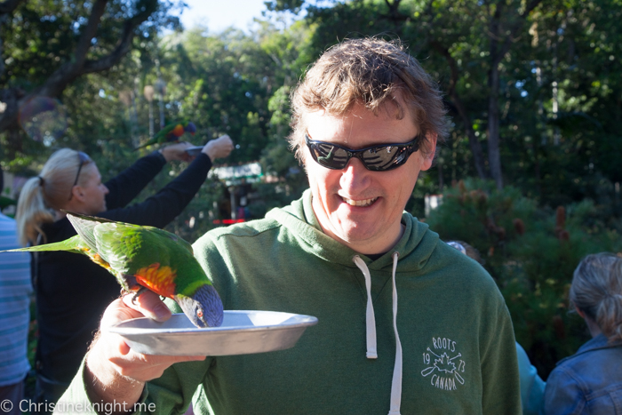 Currumbin Wildlife Sanctuary, Queensland, Australia