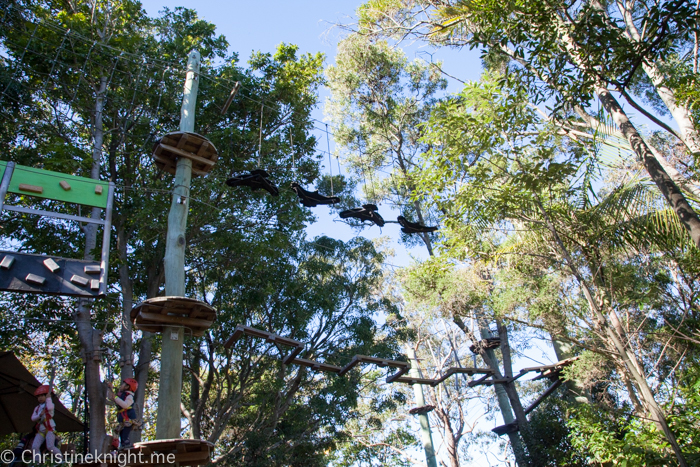 Wild Ropes, Taronga Zoo, Sydney, Australia