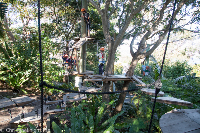 Wild Ropes, Taronga Zoo, Sydney, Australia