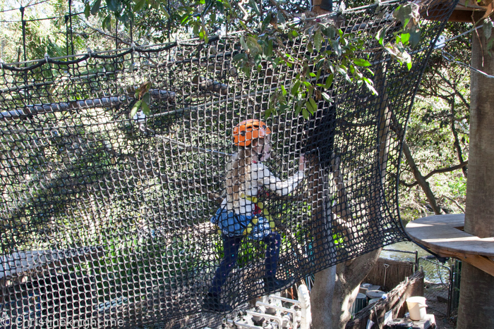 Wild Ropes, Taronga Zoo, Sydney, Australia