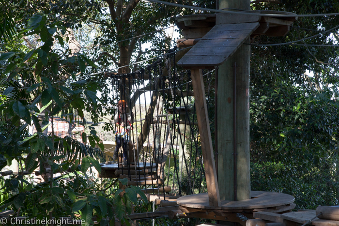 Wild Ropes, Taronga Zoo, Sydney, Australia