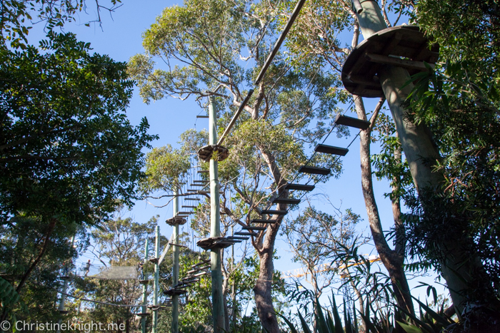 Wild Ropes, Taronga Zoo, Sydney, Australia