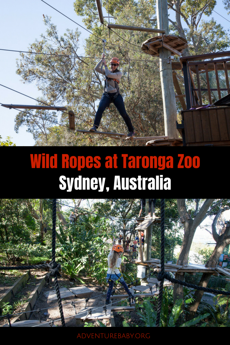 Wild Ropes, Taronga Zoo, Sydney, Australia