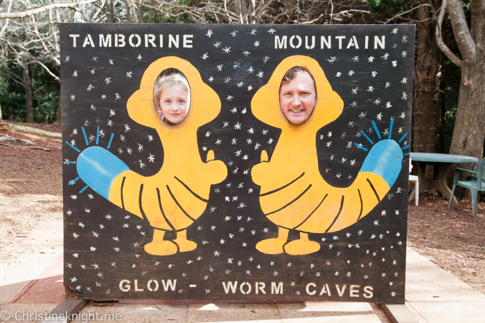 Mount Tamborine Glow-worm Caves , Gold Coast, Qld, Australia