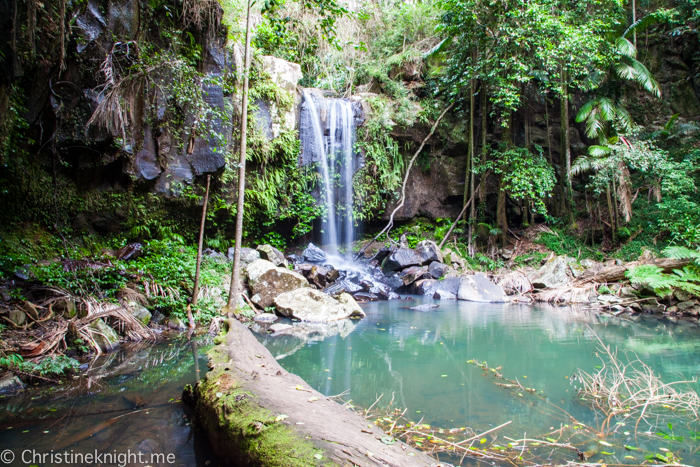 Mount Tamborine Curtis Falls, Gold Coast, Qld, Australia