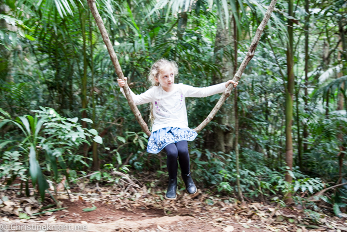 Mount Tamborine Curtis Falls, Gold Coast, Qld, Australia