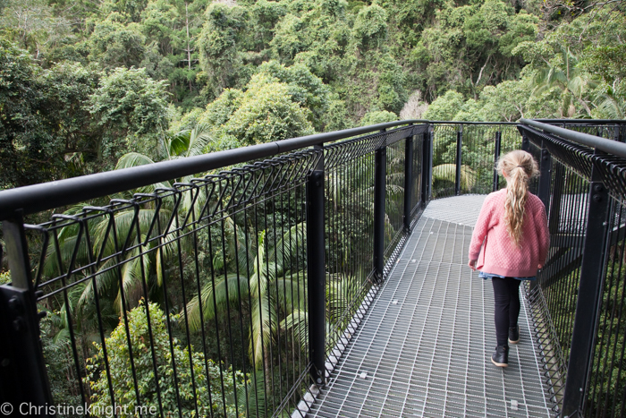 Mount Tamborine Skywalk, Gold Coast, Qld, Australia