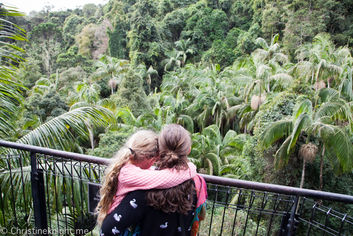 Mount Tamborine Skywalk, Gold Coast, Qld, Australia