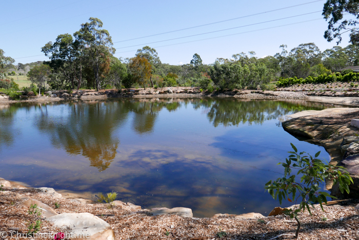 Saddles Restaurant & Bakehouse, Mount White, NSW, Australia