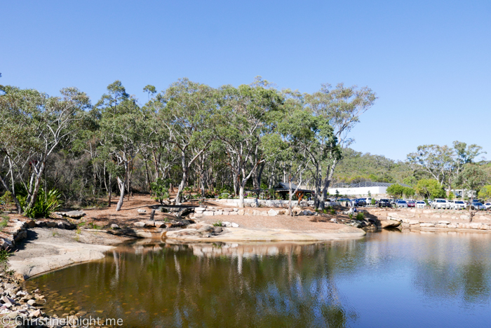 Saddles Restaurant & Bakehouse, Mount White, NSW, Australia