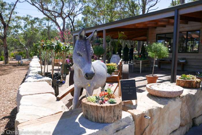Saddles Restaurant & Bakehouse, Mount White, NSW, Australia