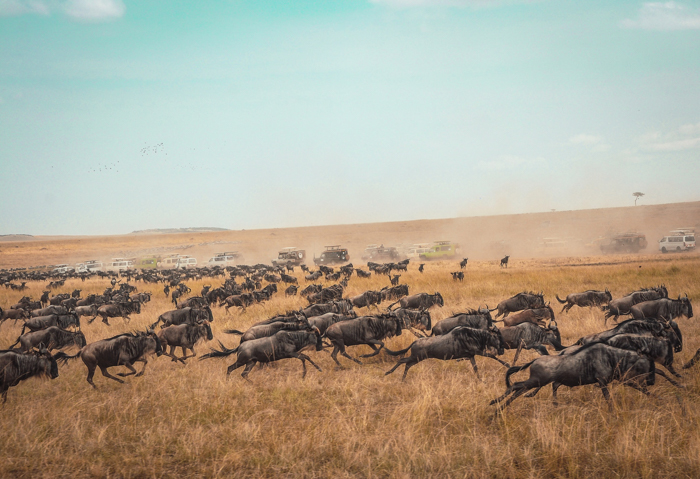 Masai Mara National Reserve