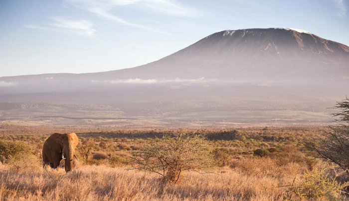 Mt Kilimanjaro