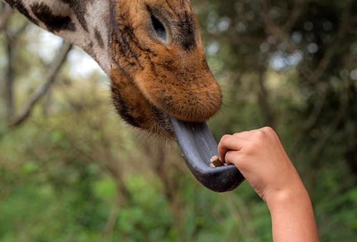 Kenya