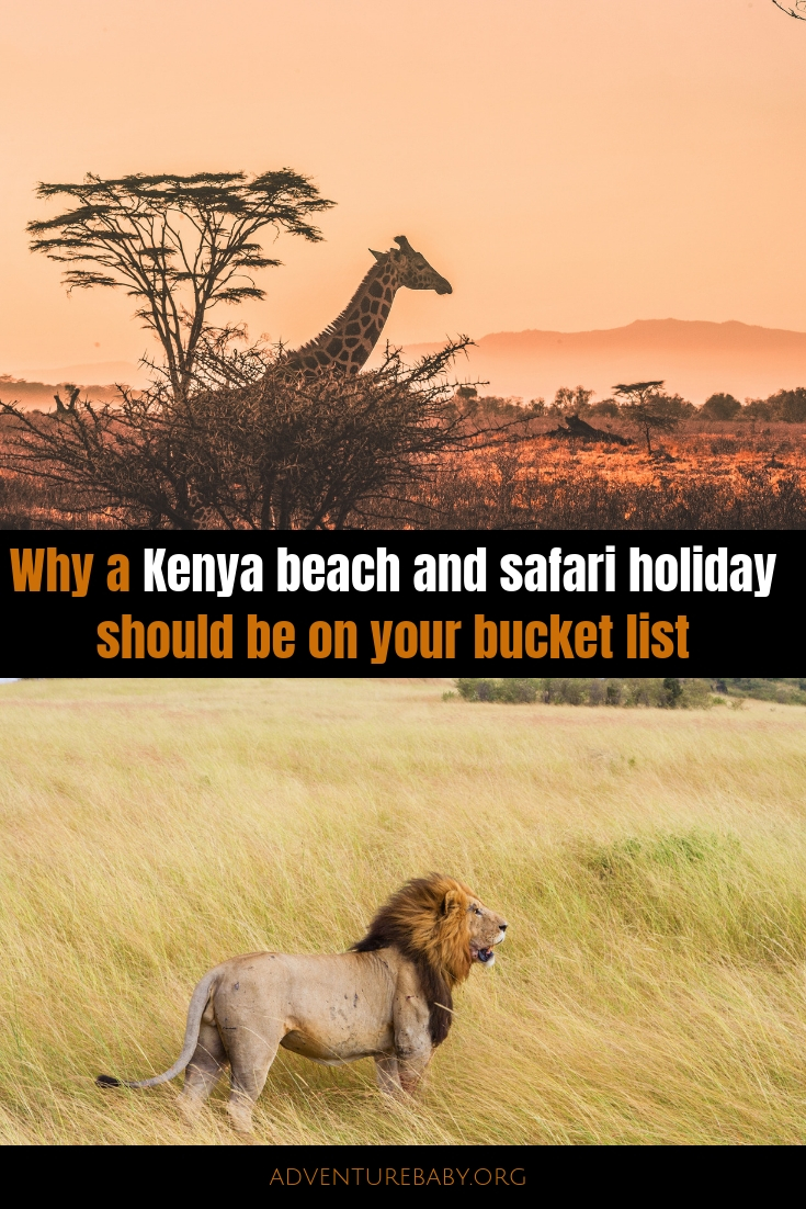 Why a Kenya beach and safari holiday should be on your bucket list