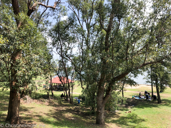 Putney Park and Playground, Sydney