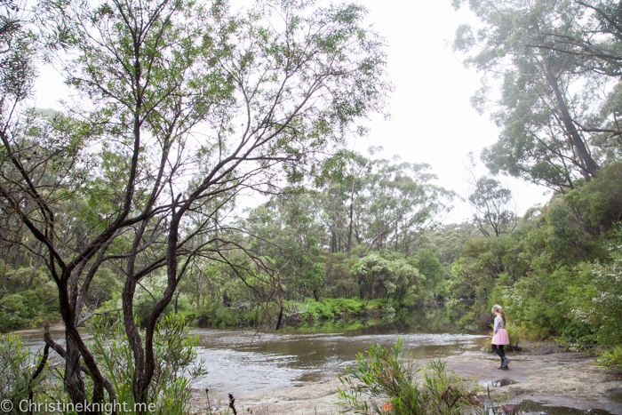 Carrington Falls, Southern Highlands, Australia