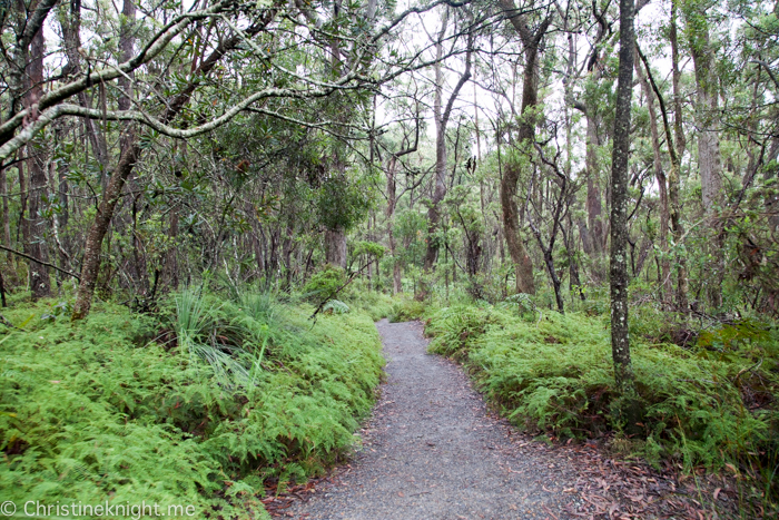 Carrington Falls, Southern Highlands, Australia