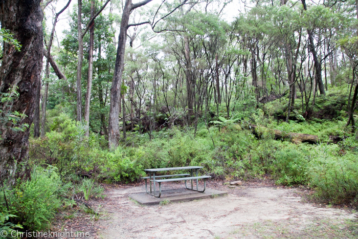 Carrington Falls, Southern Highlands, Australia