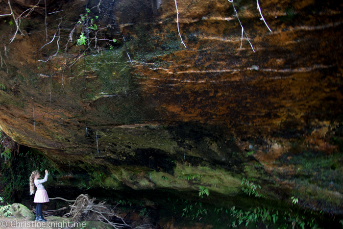 Carrington Falls, Southern Highlands, Australia