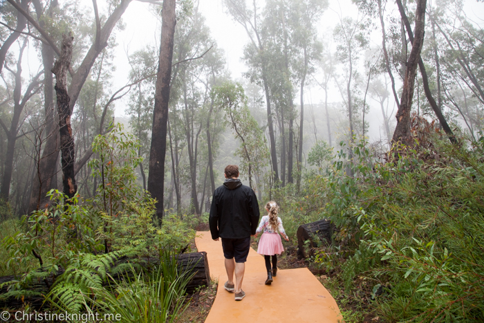 Carrington Falls, Southern Highlands, Australia