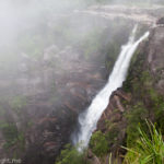 Carrington Falls and Nellies Glen, Budderoo National Park, NSW