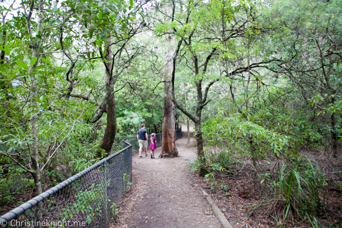 Fitzroy Falls, Morton national Park, NSW, Australia