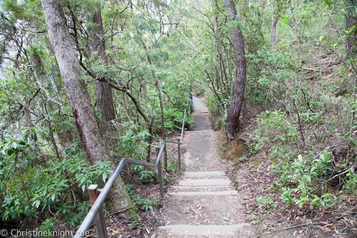 Fitzroy Falls, Morton national Park, NSW, Australia