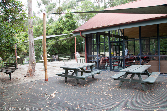 Fitzroy Falls, Morton national Park, NSW, Australia