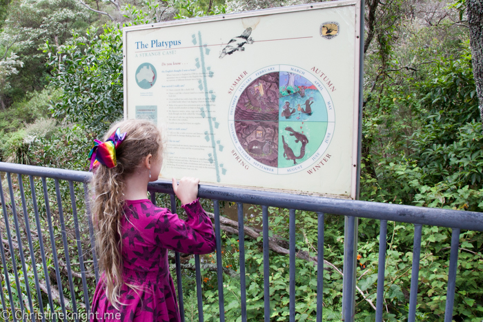 Fitzroy Falls, Morton national Park, NSW, Australia