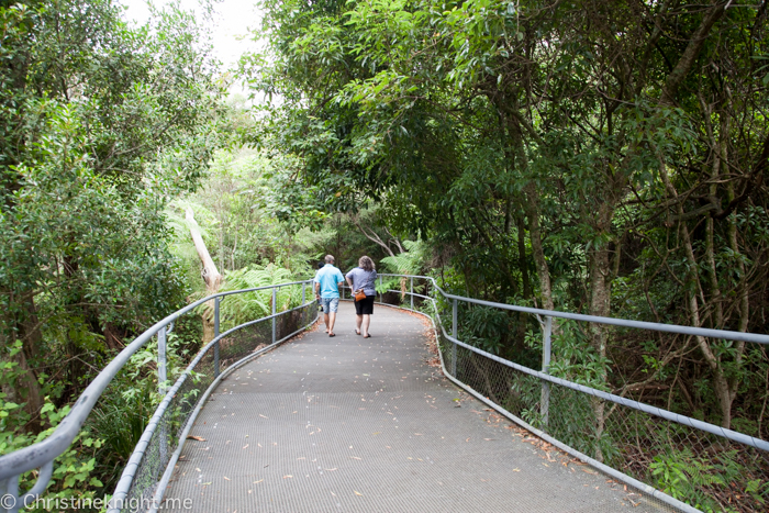 Fitzroy Falls, Morton national Park, NSW, Australia