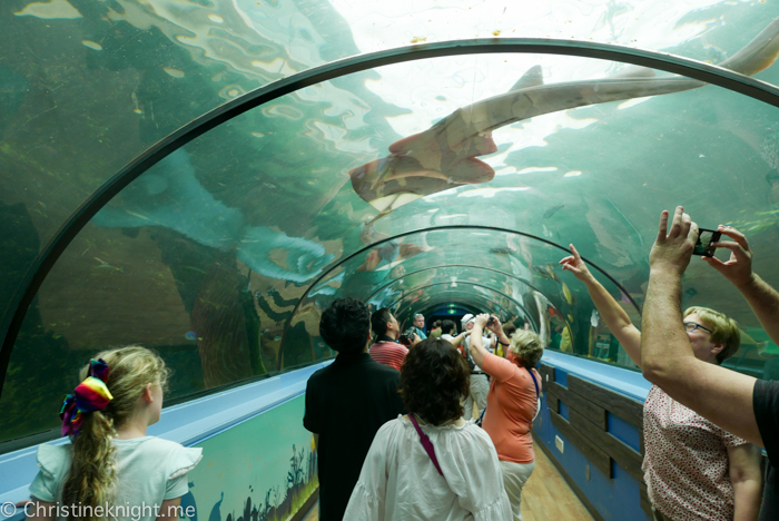 SEA LIFE Sydney Aquarium Australia