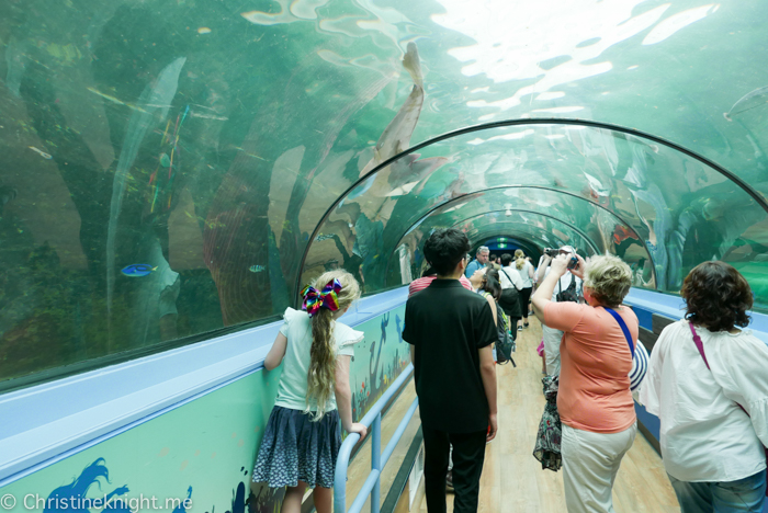 SEA LIFE Sydney Aquarium Australia